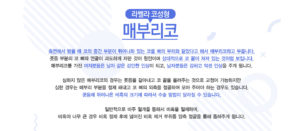 측면에서 봤을 때 코의 중간 부분이 튀어나와 있는 코를 매의 부리와 닮았다고 해서 매부리코라고 부릅니다. 콧등 부분의 코 뼈와 연골이 과도하게 자란 것이 원인이며 상대적으로 코 끝이 쳐져 있는 것처럼 보입니다. 매부리코를 가진 여자분들은 남자 같은 강인한 인상이 되고, 남자분들은 강하고 억센 인상을 주게 됩니다. 심하지 않은 매부리코의 경우는 콧등을 갈아내고 코 끝을 올려주는 것으로 교정이 가능하지만 심한 경우는 매부리 부분을 절제 해내고 코 뼈의 외측을 절골하여 모아 주어야 하는 경우도 있습니다. 콧등에 튀어나온 비혹의 크기에 따라서 수술 방법이 달라질 수 있습니다. 일반적으로 비주 절개를 통해서 비혹을 절제하며, 비혹이 너무 큰 경우 비혹 절제 후에 넓어진 비혹 제거 부위를 양측 절골을 통해 좁혀주게 됩니다.
