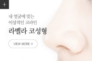 강남 신논현역 피부과 성형외과 라벨라 내얼굴에 맞는 이상적인 코라인, 라벨라 코성형