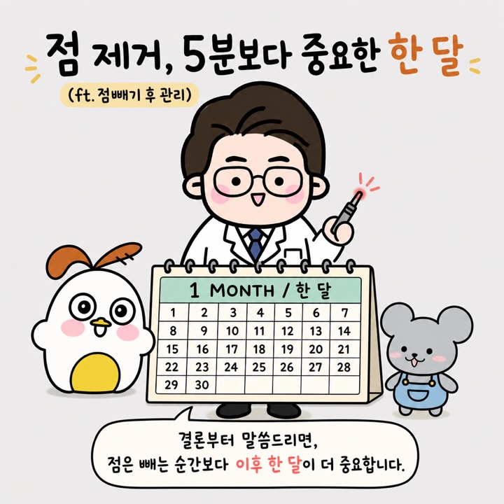 Photo by 점문가/장인이 on July 04, 2026. May be an illustration of calendar, pie and text that says '점 제거, 5분보다 중요한한달 중요한 (ft. 점 점빼기 넘배기후관리) 후 관리) 1 1 MONTH /한달 한 달 2 3 5 6 7 9 8 4 10 11 12 13 17 18 14 15 22 29 19 16 23 30 24 20 25 26 21 28 27 결론부터 말씀드리면, 점은 빼는 순간보다 이후 한 달이 더 중요합니다.'.