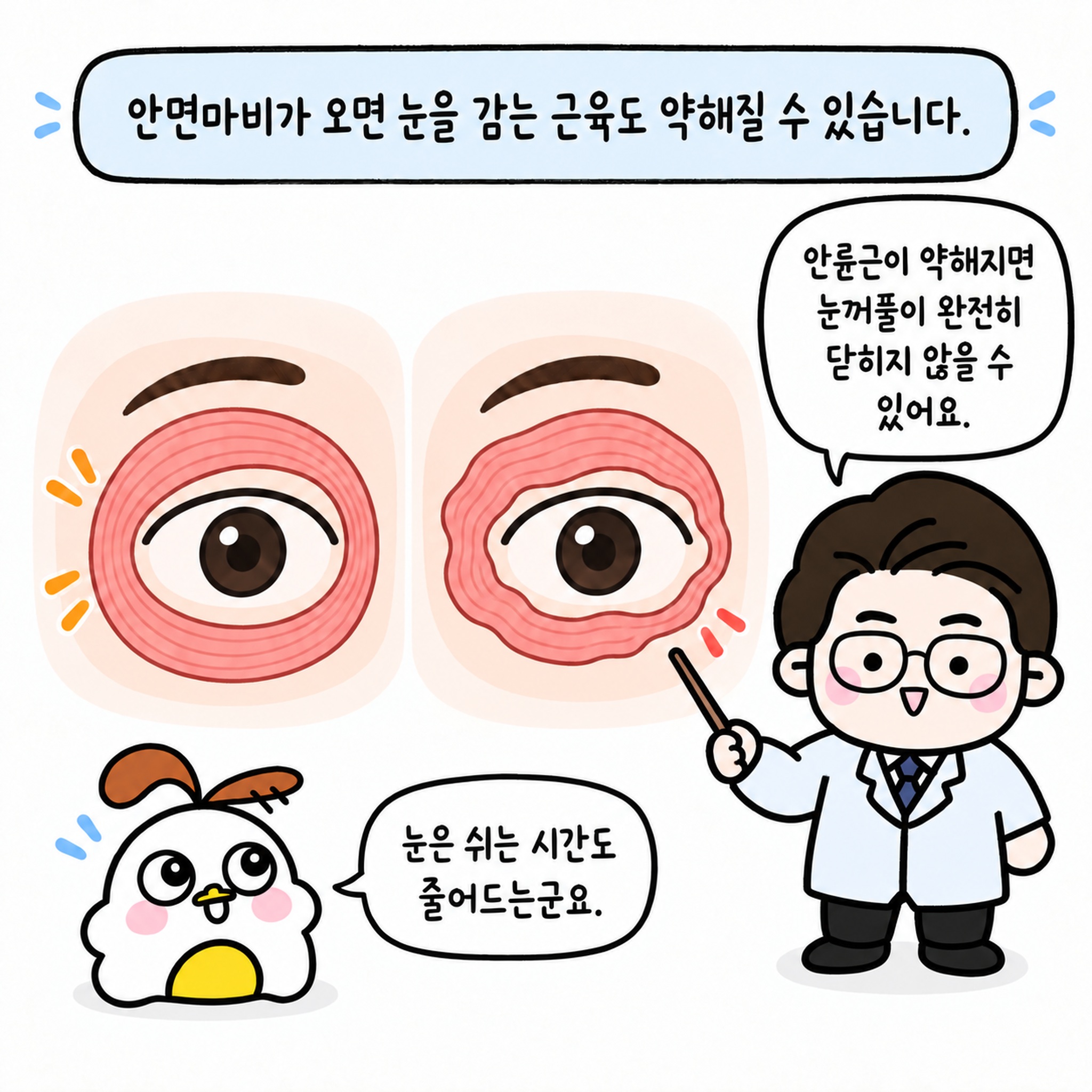 안면마비가 오면 눈을 감는 근육도 약해질 수 있습니다. 안륜근이 약해지면 눈꺼풀이 완전히 닫히지 않을 수 있어요. 눈은 쉬는 시간도 줄어드는군요.