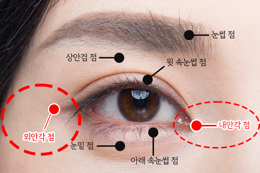 내안각점 외안각점 눈밑점 눈두덩이점과 속눈썹선 위치 안내